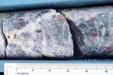 LARVOTTO_BAKERS CREEK_BULLSNBEARSWA