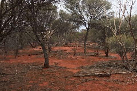 LATITUDE66_EDJUDINA_BULLSNBEARSWA