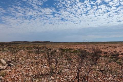 NOVO_NVO_BALLA BALLA_Au_BULLSNBEARSWA_1440X960