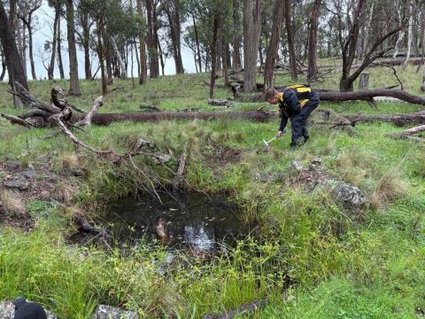 Thunderbird Resources_Rockvale project