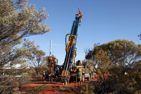 Terrain_Wildflower_Au_1440x960