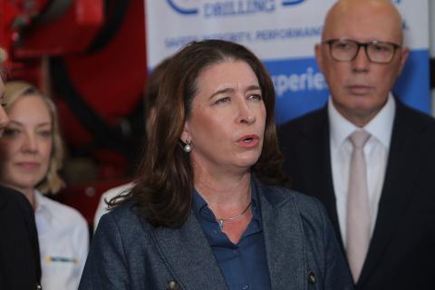 Federal senator Susan McDonald in Perth. Photo: Sam Jones.