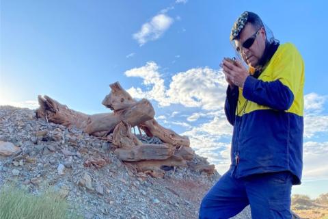 GREAT STHN_GSN_DUKETON Field Geo_BULLSNBEARSWA_1440x960