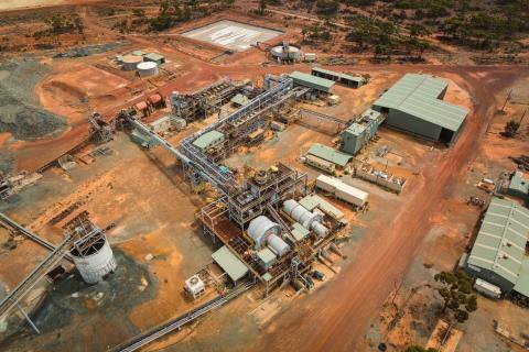 Horizon_Black Swan_BullsNBearsWA_WAN-BN