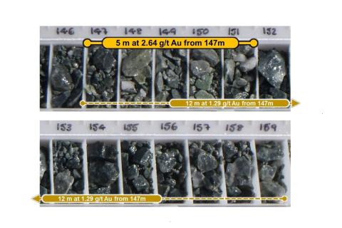 KALGOLD_LIGHTHORSE_BULLSNBEARSWA (1) (1)