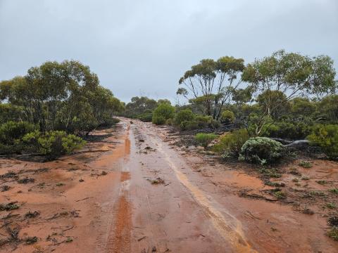 McLaren Minerals_Access track_BNBWA