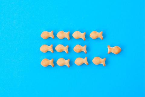 Feeling safe gives individuals the confidence to ask questions and try new ideas. Photo: GaliyaHassan