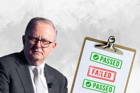 Anthony Albanese. Photo: Michael O'Brien.