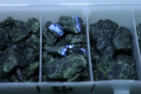 LARVOTTO_LRV_HILLGROVE_BULLSNBEARSWA