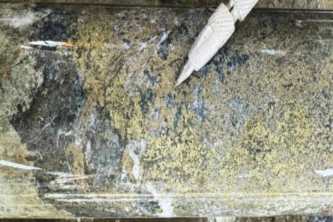 STRICKLAND_SHANAC_BULLSNBEARSWA