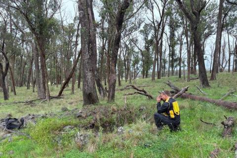 Thunderbird_250520_Achill_BullsNBearsWA_BN