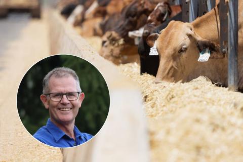 Harvey Gaynor will commence as chief executive of Harvest Road Group in July. 