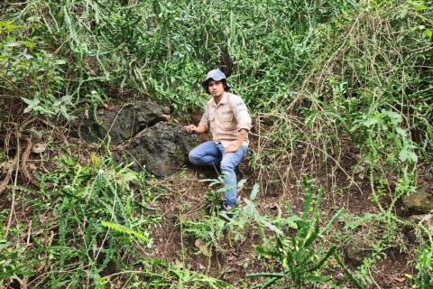 ESTRELLA_IRA MIRI_BULLSNBEARSWA