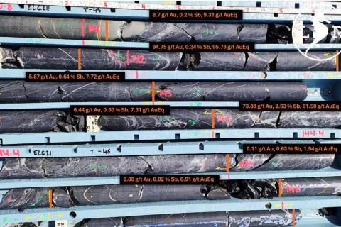 LARVOTTO_GARIBALDI_BULLSNBEARSWA