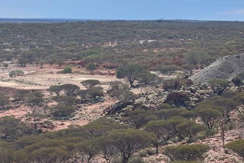 Neometals NMT Barrambie Au BULLSNBEARSWA