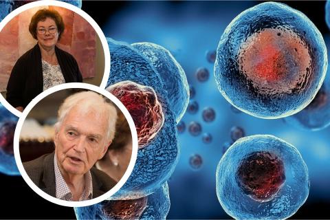 Main pic: A generic stem cell picture. Insets: Dr Marian Sturm and Harold Clough. 