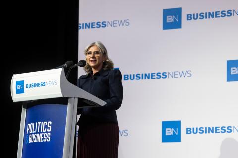 Shadow Treasurer Sandra Brewer. Photo: Matt Jelonek 