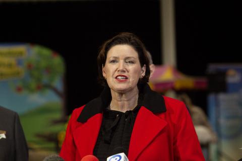 Agriculture Minister Jackie Jarvis. Photo: Tom Zaunmayr