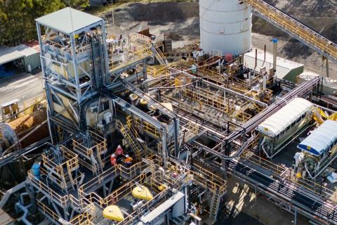 LARVOTTO LRV PLANT BULLSNBEARSWA 1440x960