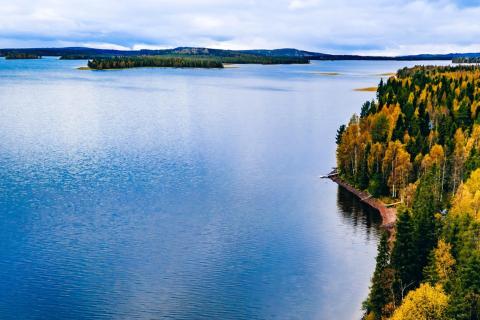 LATITUDE66 LAT FINLAND BULLSNBEARSWA 