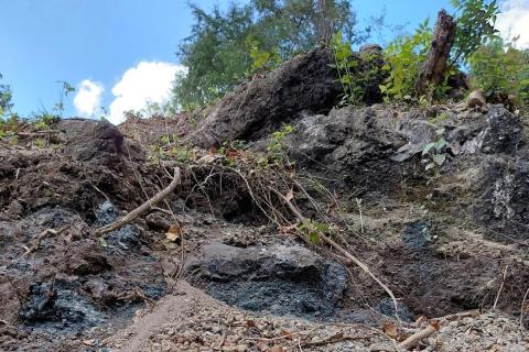 ESTRELLA_MANGANESE1_BULLSNBEARSWA