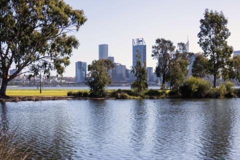 Swan River foreshore. Photo: Michael O’Brien