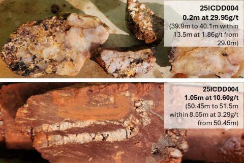 NEOMETALS BARRAMBIE CORE Au BULLSNBEARSWA 1440x960