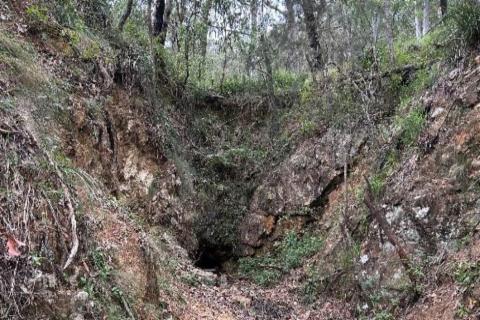 THUNDERBIRD_KOOKABOOKRA_BULLSNBEARSWA