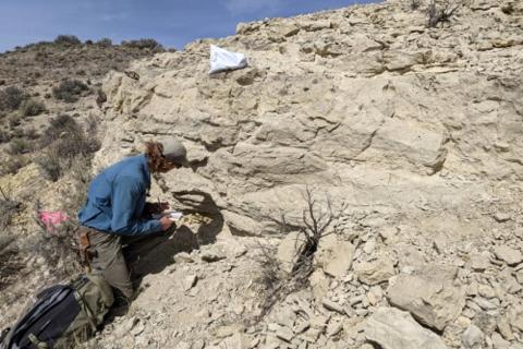 CHARIOT_RESURGENT_BULLSNBEARSWA