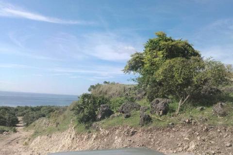 ESTRELLA ESR TIMOR LS BULLSNBEARSWA 1440x960