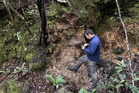 SIREN SNG LANGDONS Au-Sb BUILLSNBEARSWA 1440x960