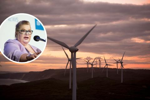 Main pic: Synergy's wind farm. Inset: Sue Ellery.