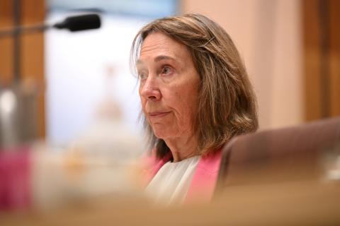 President of the Senate Sue Lines. (AAP Image/Lukas Coch).