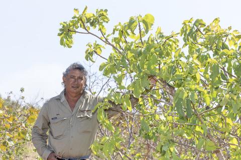 Mamabulanjin Aboriginal Corporation chief executive Neil Gower. Photo: Tom Zaunmayr
