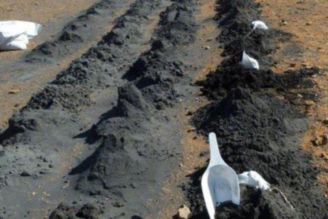 OCTAVA OCT REE BULLSNBEARSWA 1440x960