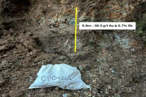 SIREN_LANGDONS_BULLSNBEARSWA