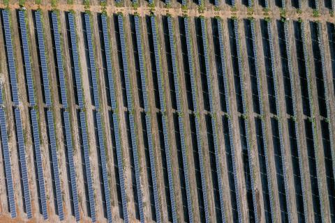 Frontier Energy plans to build WA's biggest solar farm