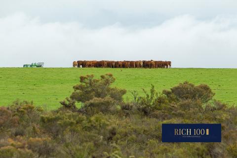 Farms, pastoral properties, and horticulture feature in many Rich 100 portfolios. Photo: Tom Zaunmayr