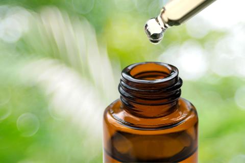 sandalwood. Photo: Apple Zoomzoom