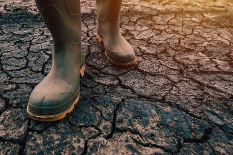 Photo: Bits and Splits