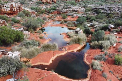 CORAZON CZN TP BNBWA