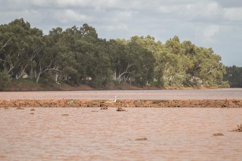 A leaky weir on Minderoo Station. Photo: Tom Zaunmayr