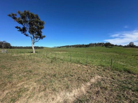 THUNDERBIRD THB Sb-Au BNBWA