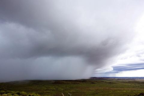 Wet season rains in the west Pilbara. Photo: Tom Zaunmayr