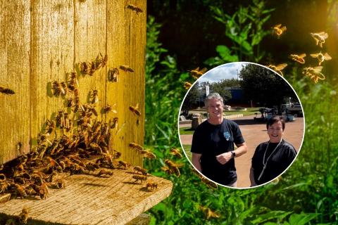 Collaboration can support all levels of innovation. Photo: Darios. Inset: Brad Hill (left) and Joanne Fabling.