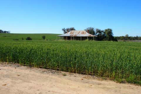 Photo: Michael O’Brien