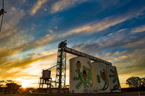 Ravensthorpe wheat bin