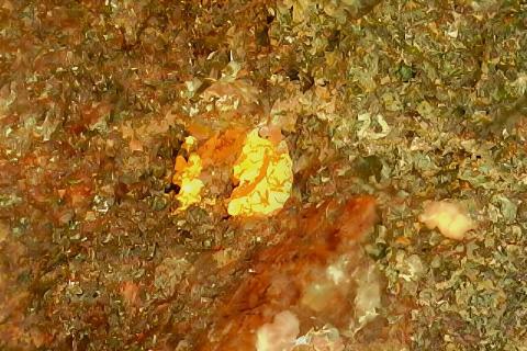 AUGUSTUS AUG MUSIC_W Au BNBWA