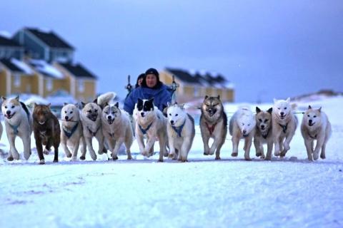 DALAROO_BLUE LAGOON_BNBWA (1)