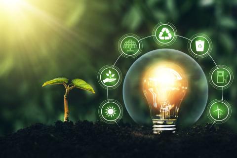 Image: Miha Creative